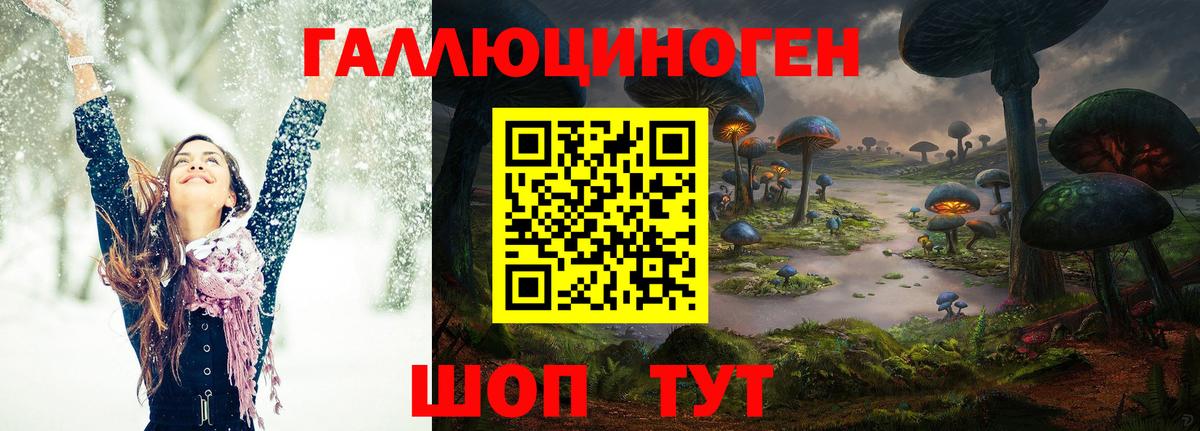 Галлюциногенные грибы Cubensis Сокол
