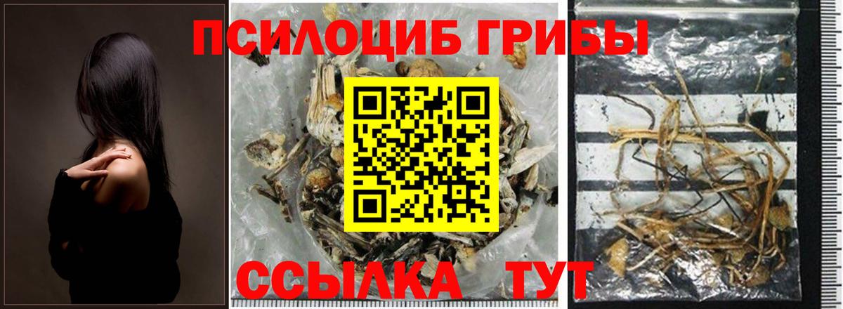 Сокол  Псилоцибиновые грибы ЛСД  наркошоп  Вход с VPN 